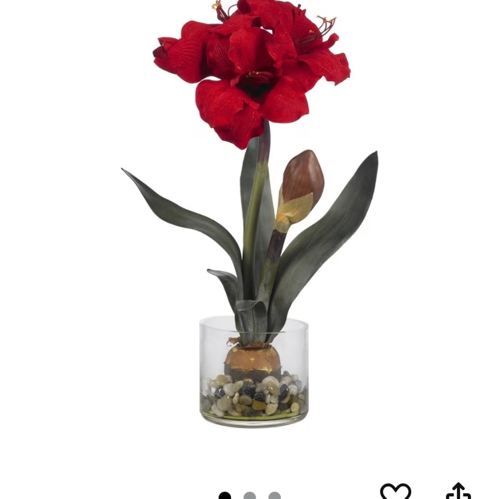 almost real 20” amaryllis with glass vase